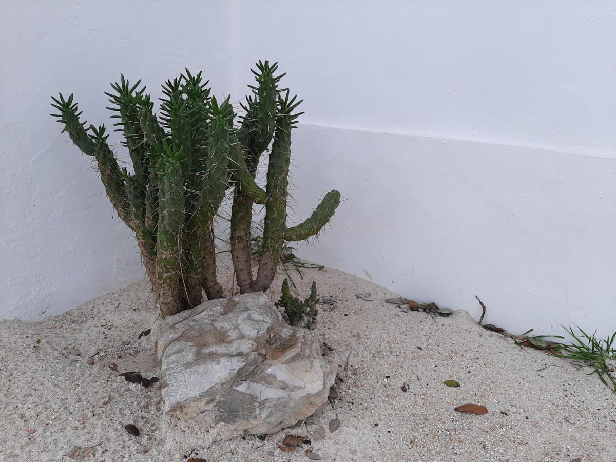 Monte Vale Manhas By Hi Alentejo Villa São Bartolomeu da Serra Екстериор снимка
